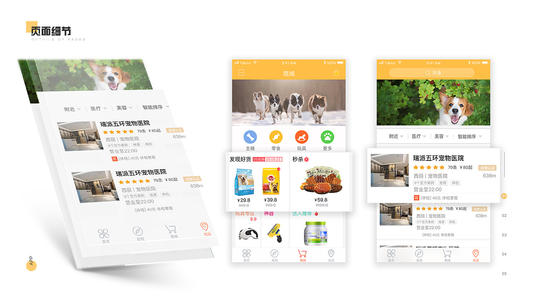 宠物APP开发公司