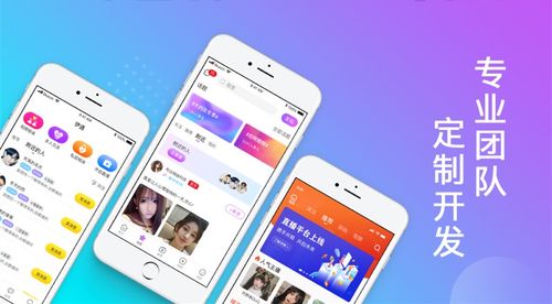 北京中联科技系统软件APP小程序网站定制建设设计开发公司