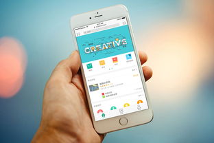 北京中联科技系统软件APP小程序建设设计定制开发公司