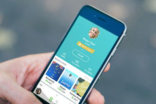 北京中联科技小程序网站企业APP定制建设设计开发方案