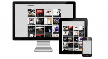 北京中联科技网站APP小程序SEO优化建设设计定制开发公司