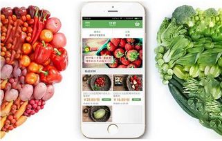 北京中联科技系统软件APP小程序定制建设设计开发公司